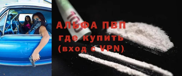 крисы Алзамай