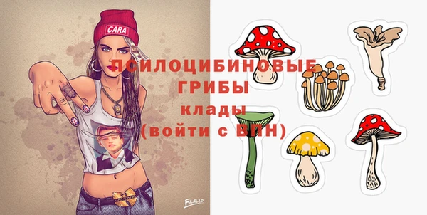 амф Алексин