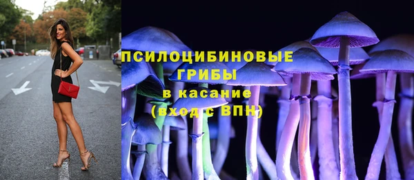 амф Алексин