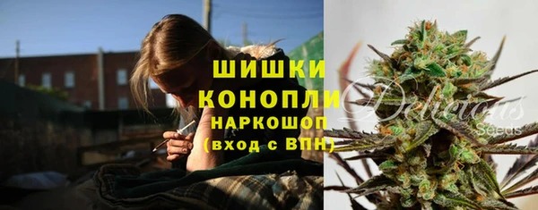 ешки Новодвинск