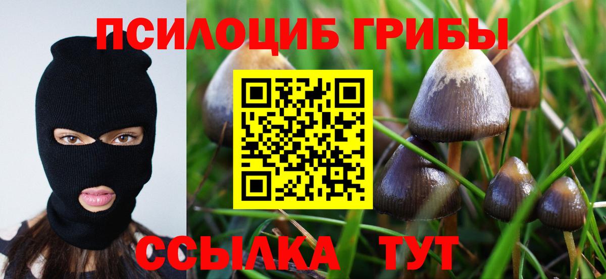 Псилоцибиновые грибы Cubensis  Галлюциногенные грибы Magic Shrooms  Сосновоборск  Вход с VPN 