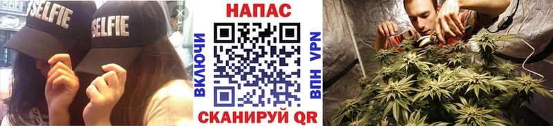 blacksprut ТОР Сосновоборск Каннабис OG Kush